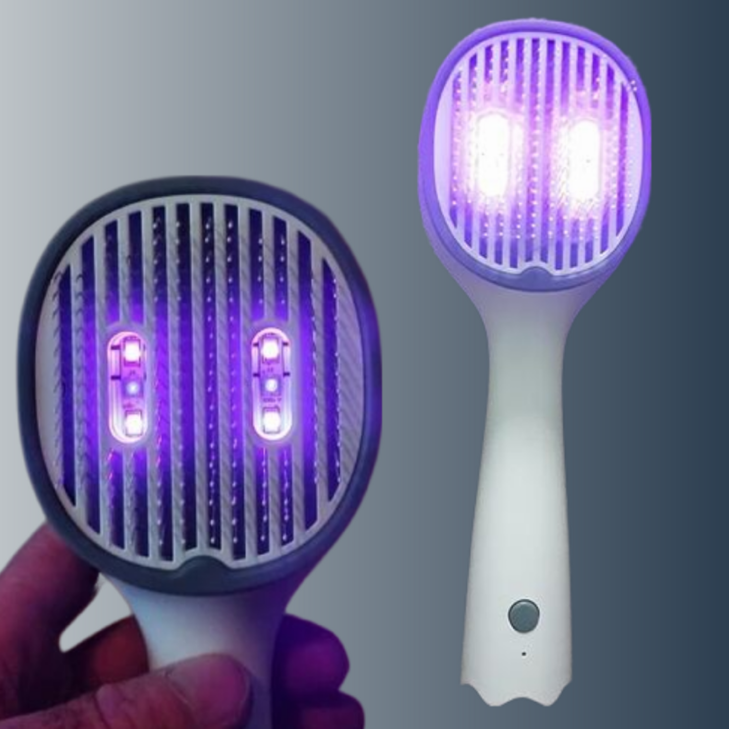 PETSY UV PET BRUSH