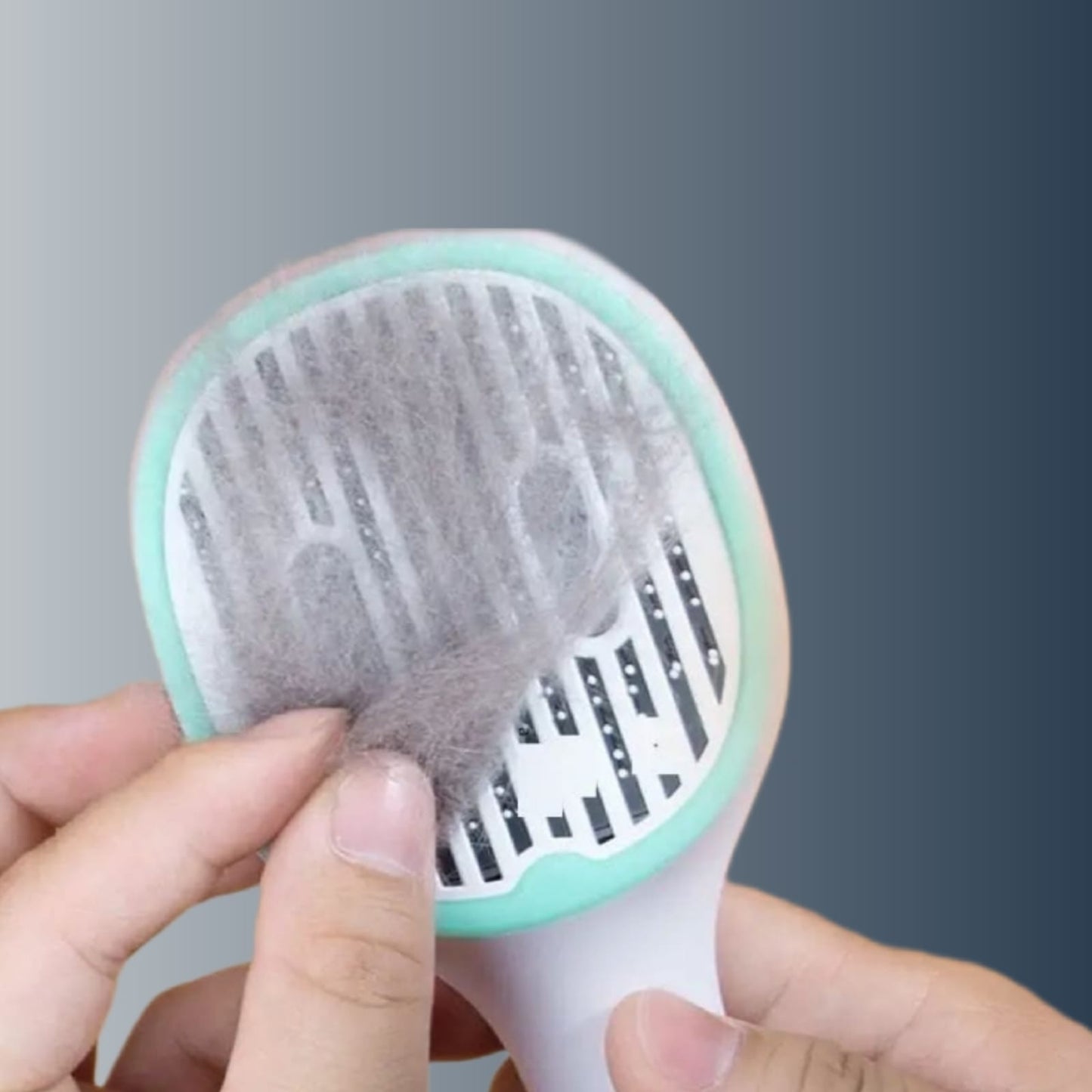 PETSY UV PET BRUSH