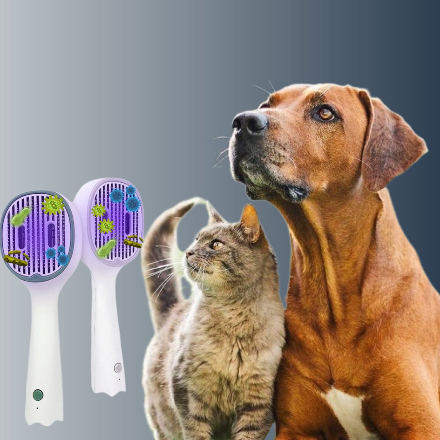 PETSY UV PET BRUSH