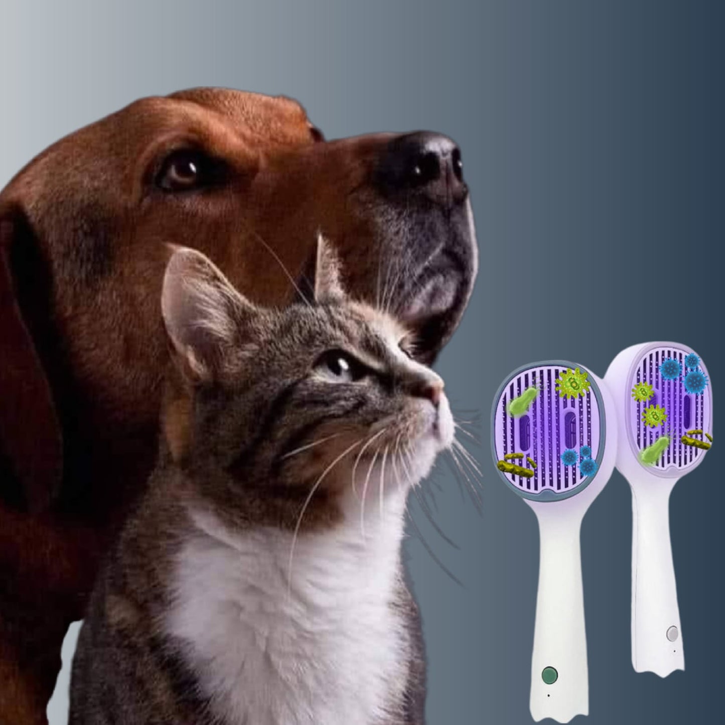 PETSY UV PET BRUSH