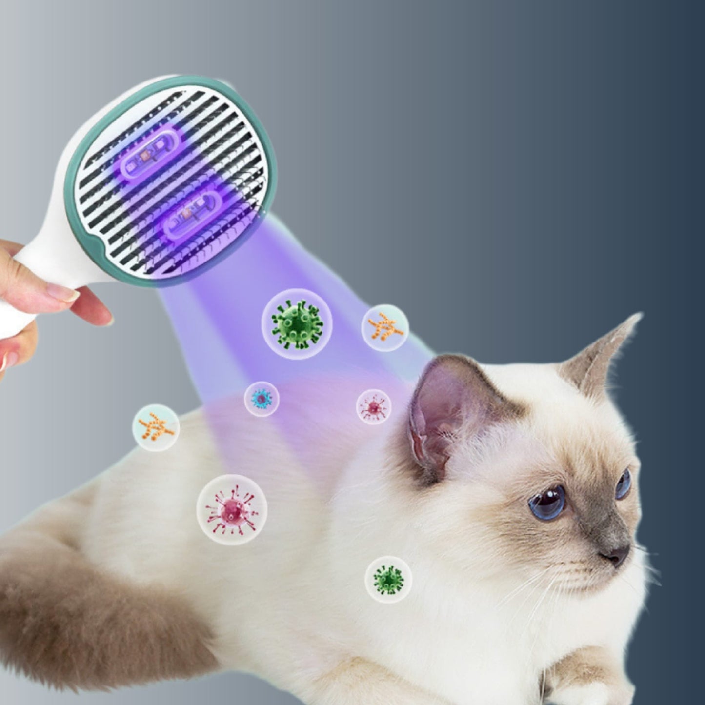 PETSY UV PET BRUSH