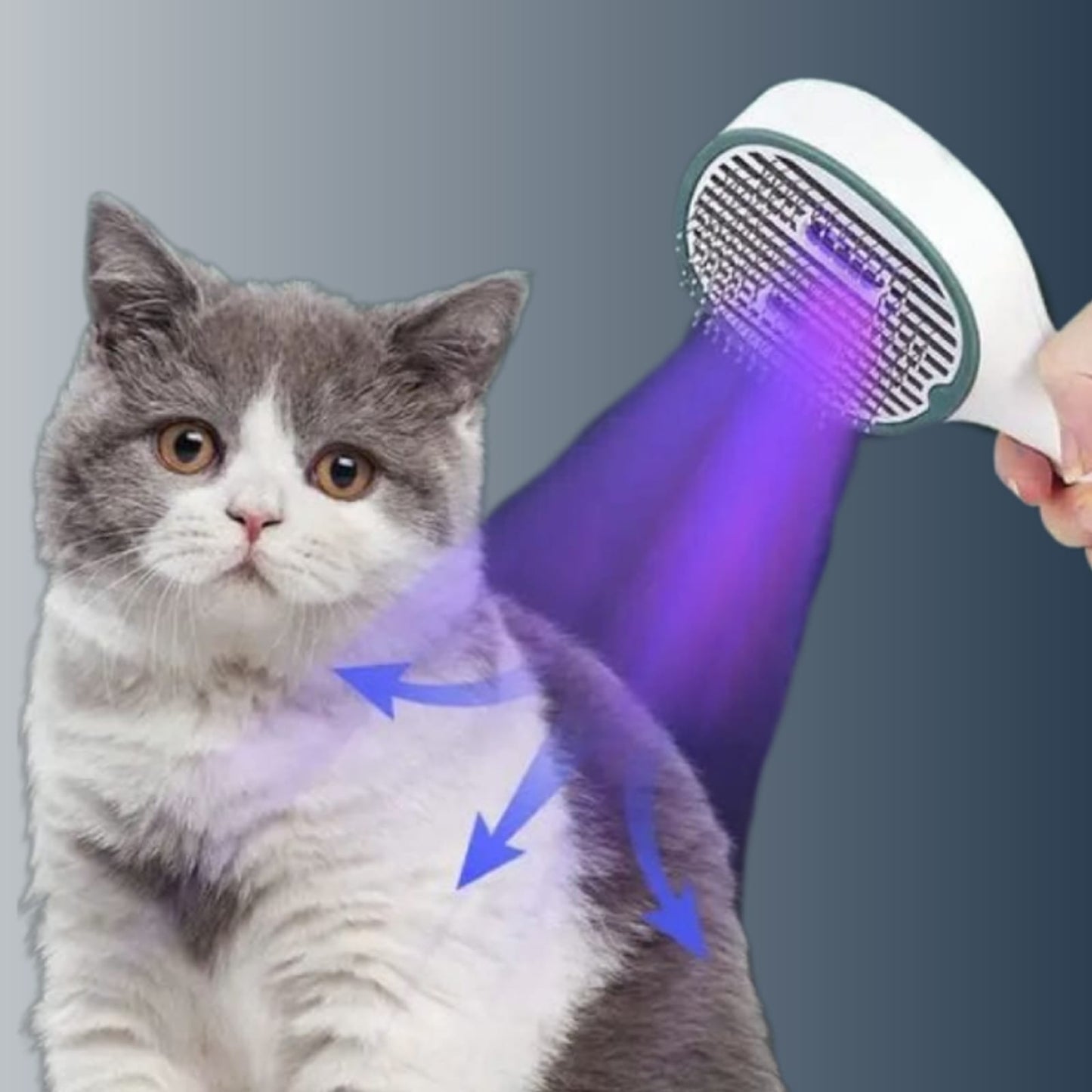 PETSY UV PET BRUSH