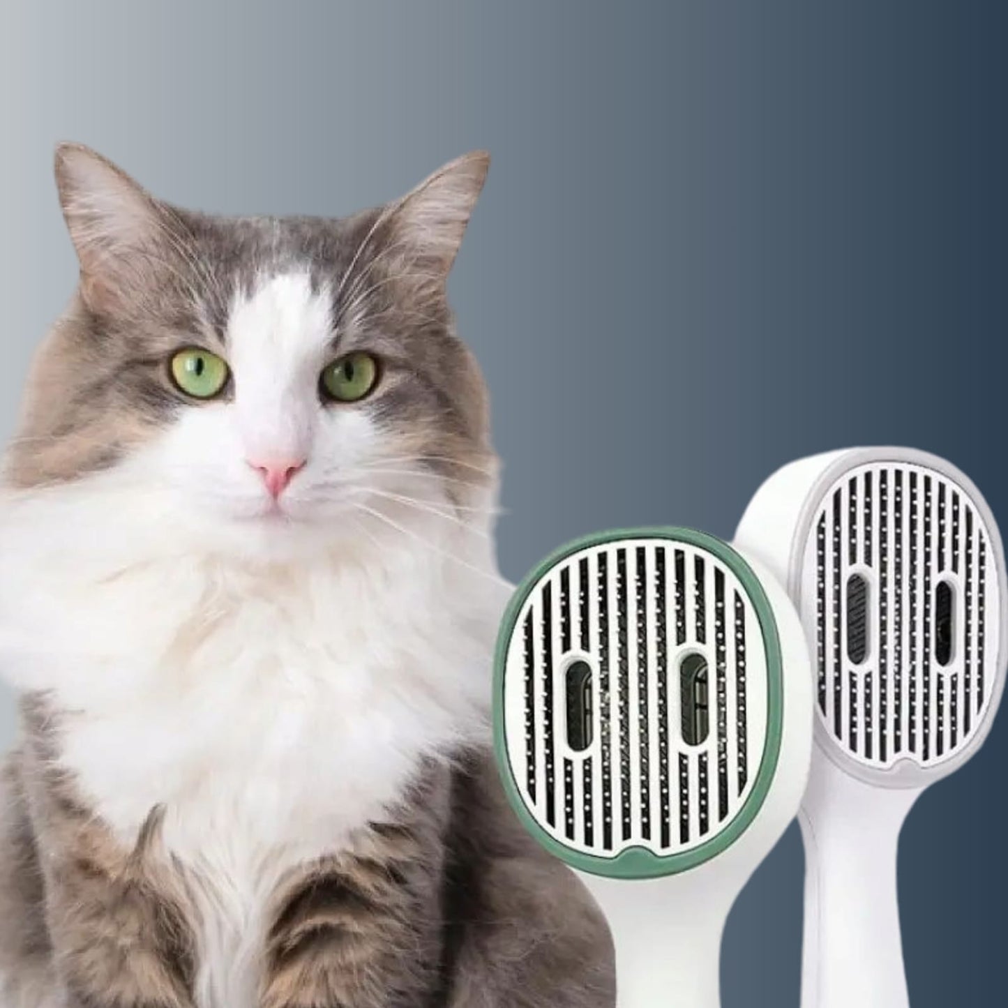 PETSY UV PET BRUSH