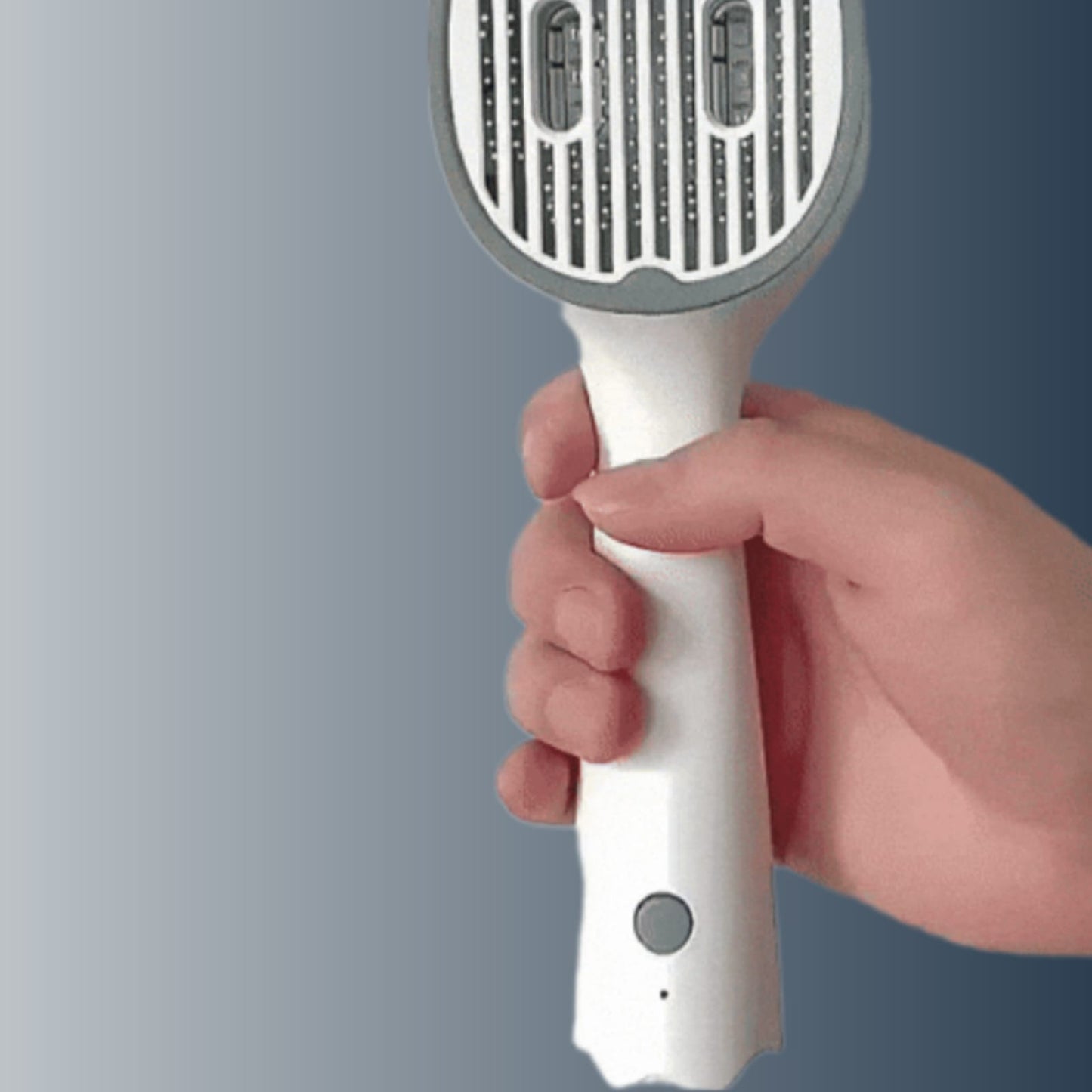 PETSY UV PET BRUSH